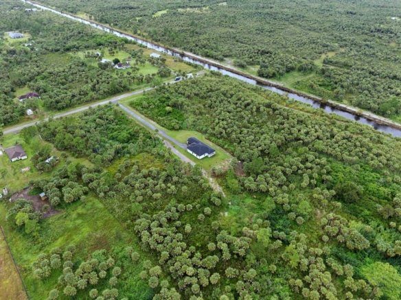 Aerial view of a new home on 2.5 wooded acres beside a canal in Golden Gate Estates, Naples, Florida